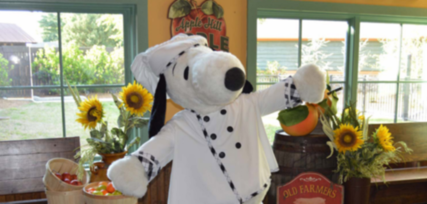 PEANUTS® Kitchen & Drinkware – FUN MERCHANDISE ONLINE SHOP