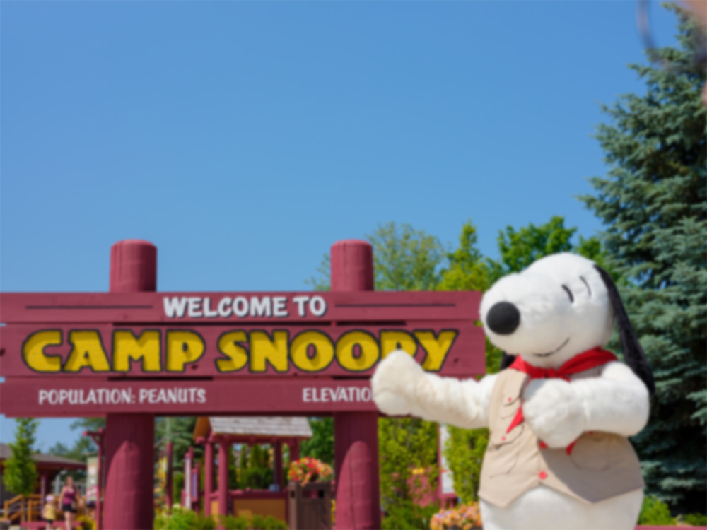 Camp Snoopy Collection – FUN MERCHANDISE ONLINE SHOP