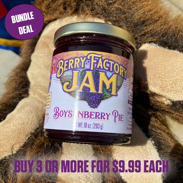 Knott's Berry Farm Berry Factory Boysenberry Pie Jam 10 oz. – FUN