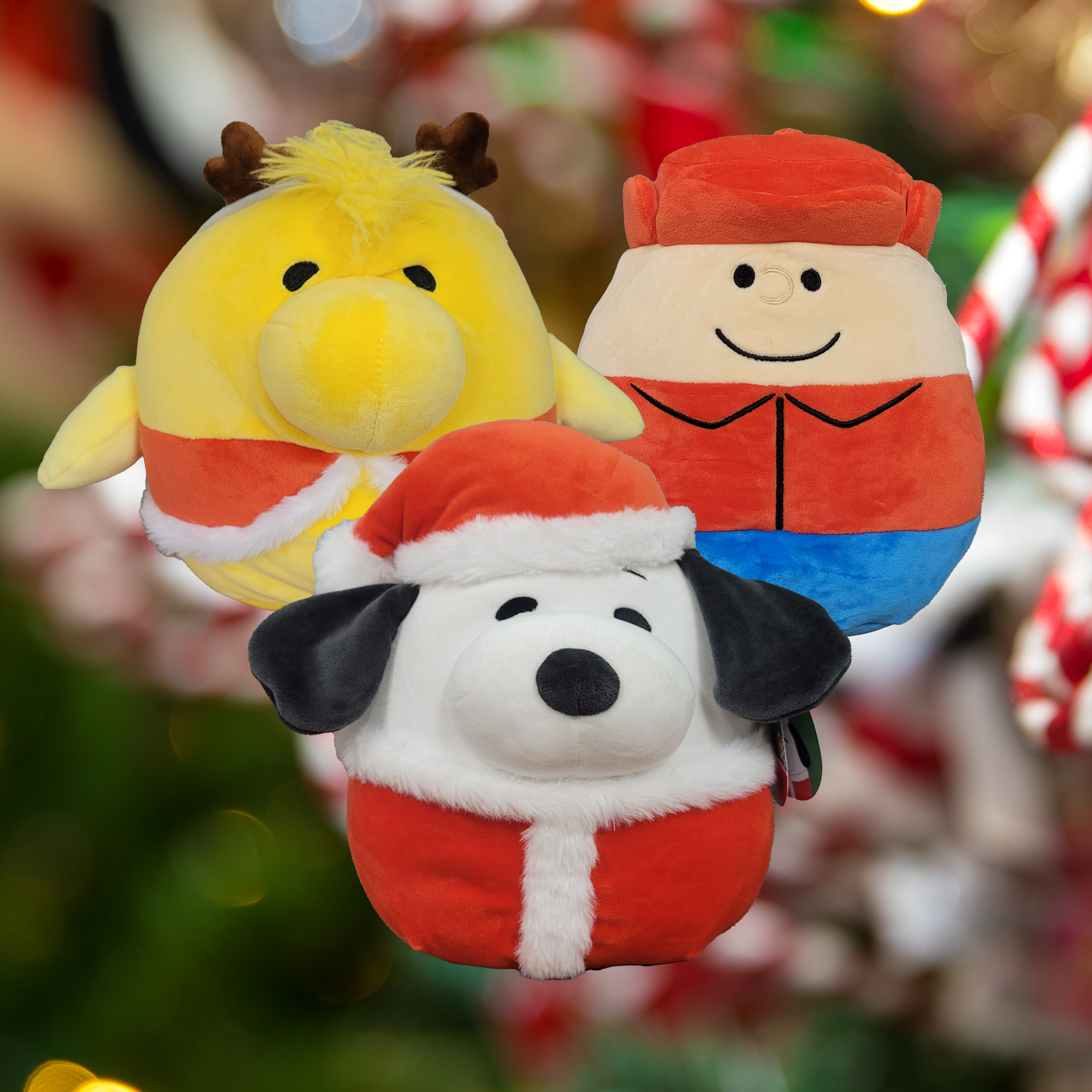 PEANUTS® 8