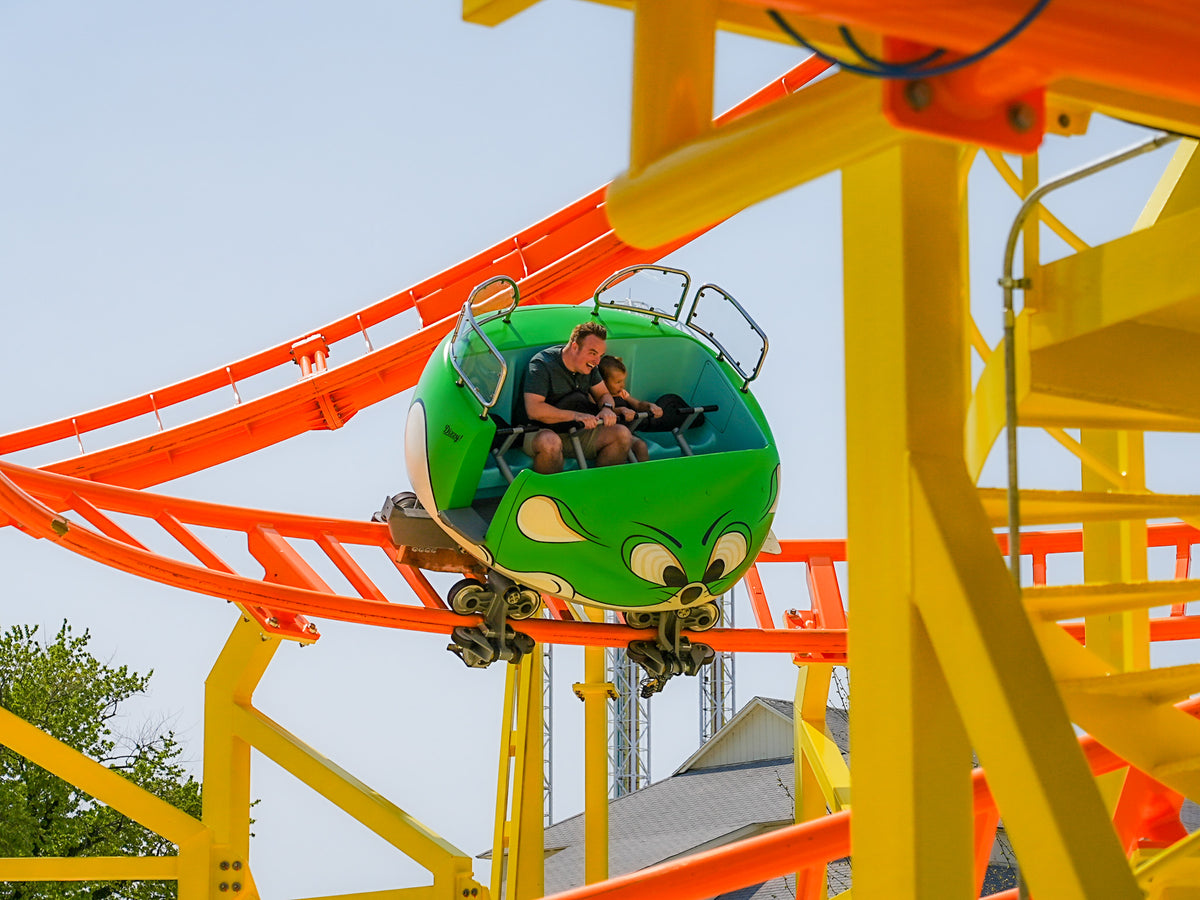 Wild Mouse