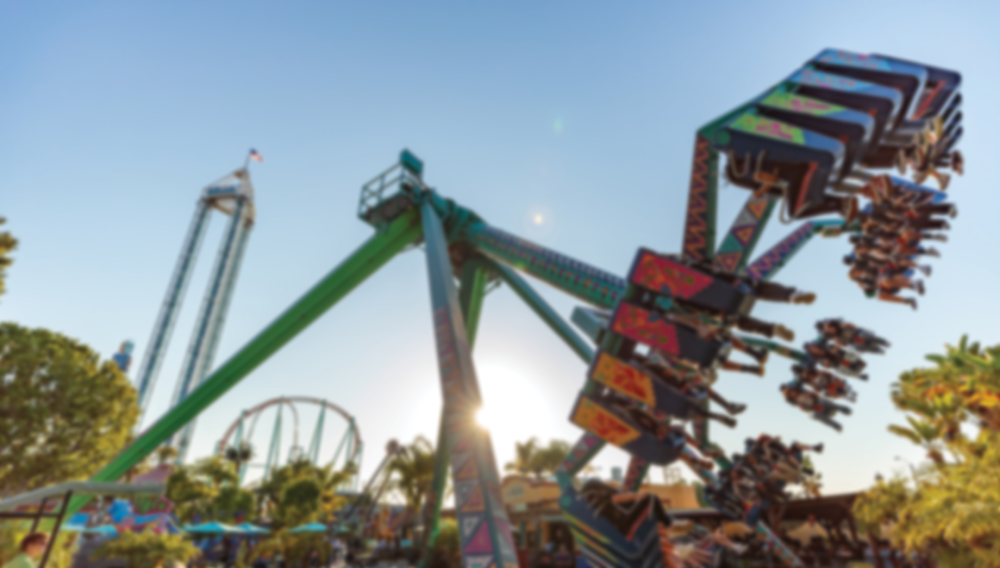 Limited Edition
