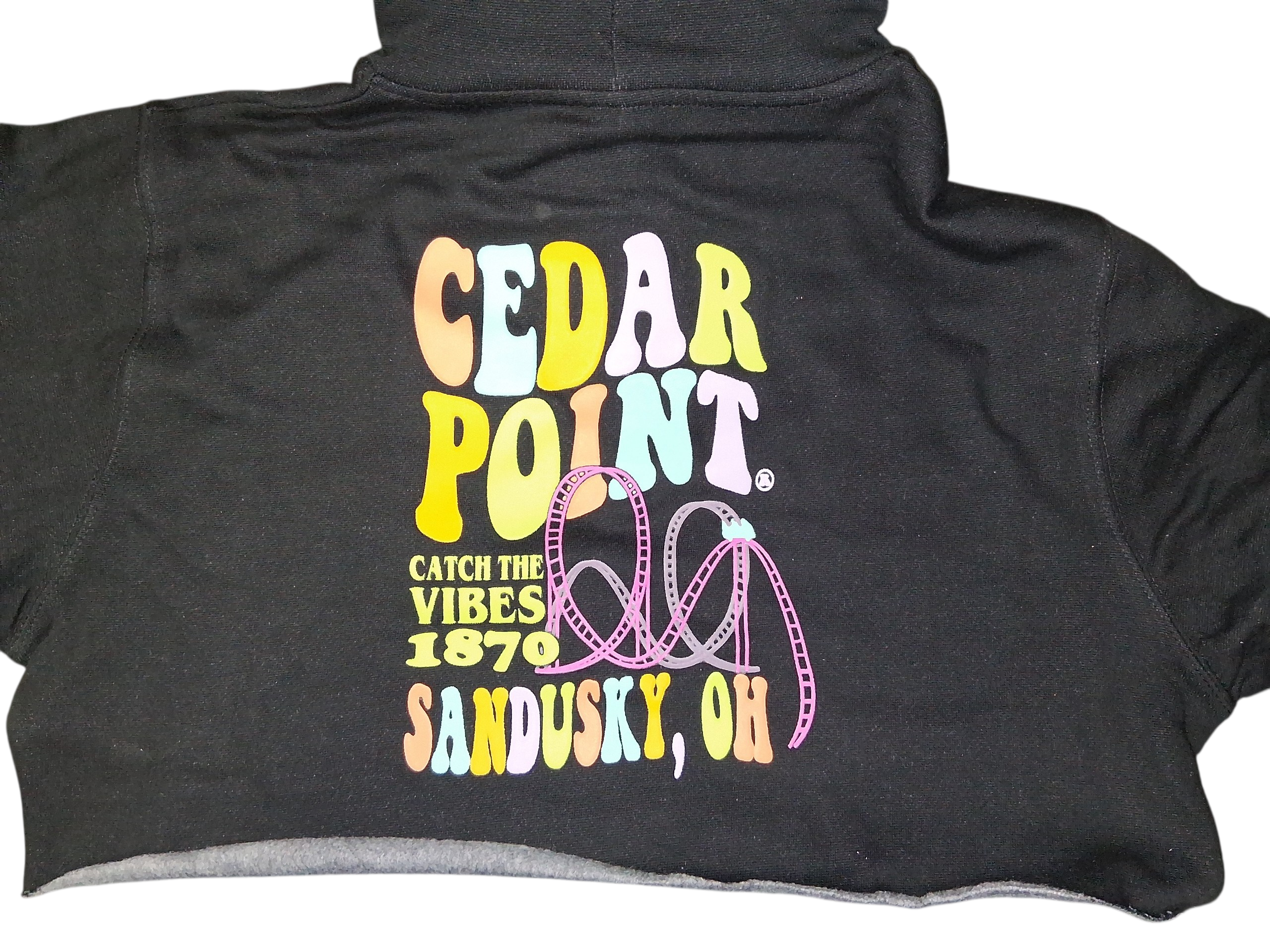 Cedar Point Coaster Vibes Cropped Hooded Sweatshirt