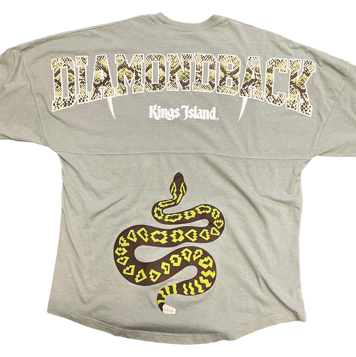 Kings Island Diamondback Spirit Jersey