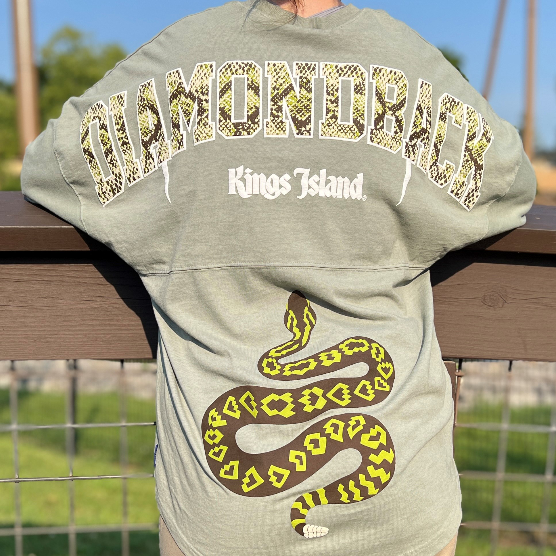 Kings Island Diamondback Spirit Jersey