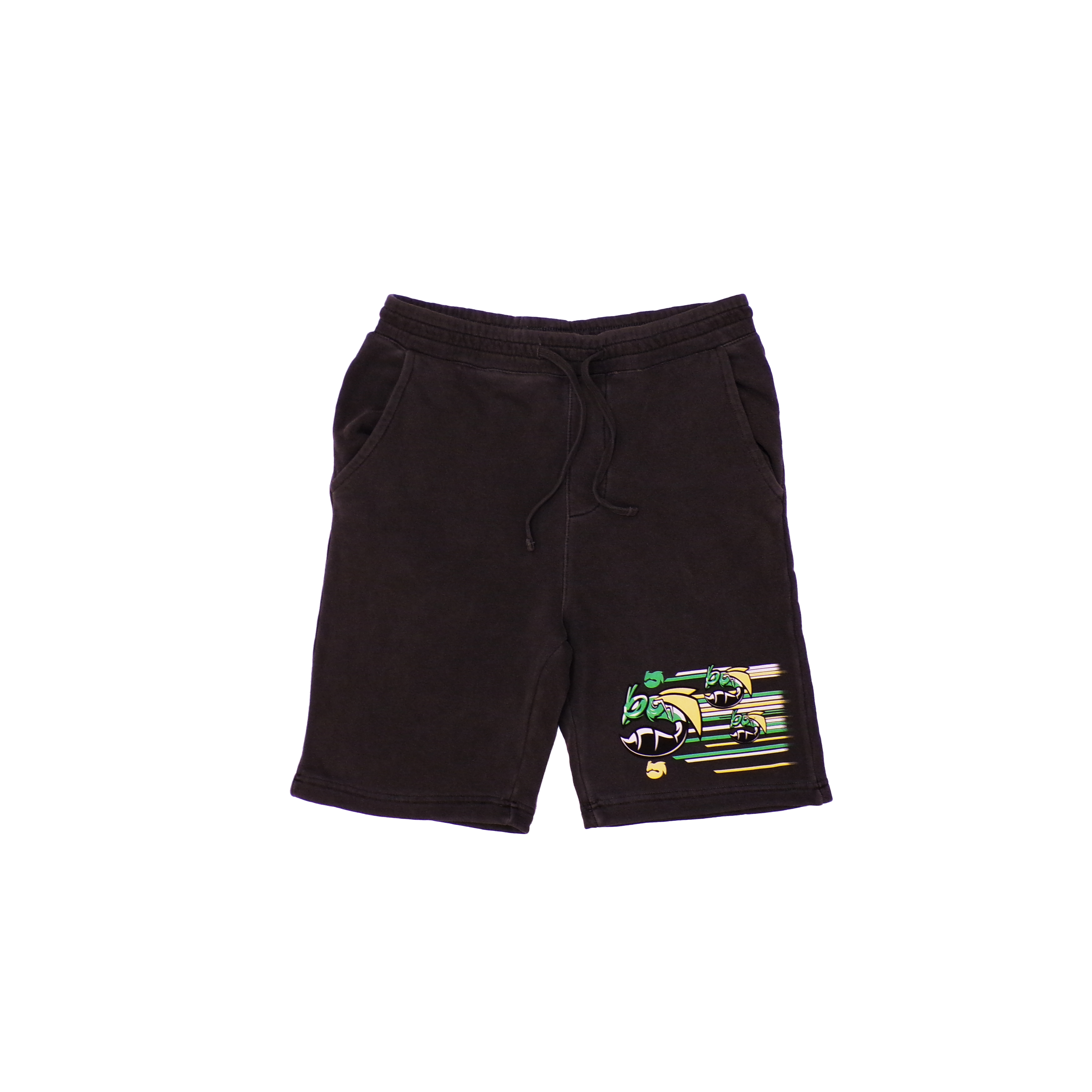 Carowinds Fury 325 Swarm Shorts
