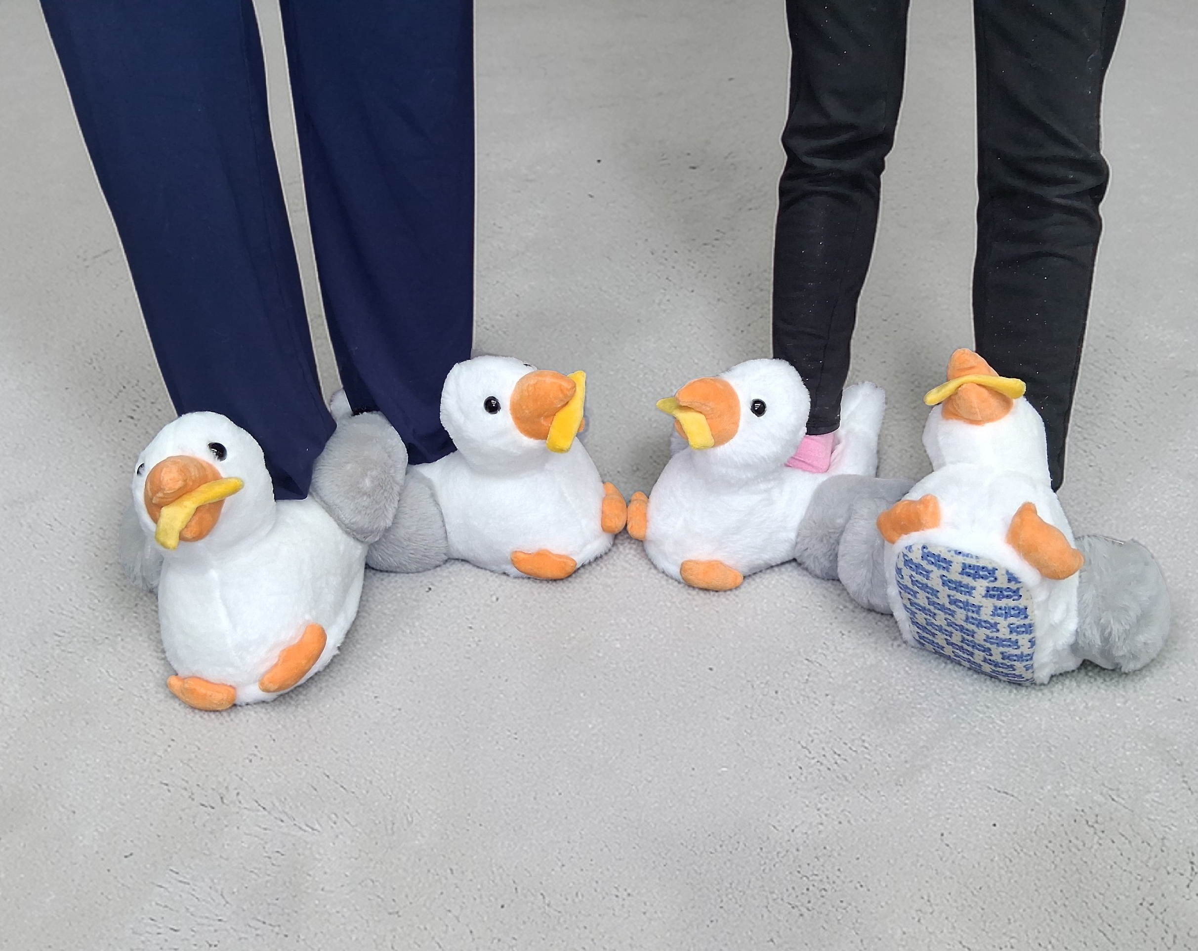 CEDAR POINT SEAGULL WITH FRIES  SLIPPERS - ADULT LARGE
