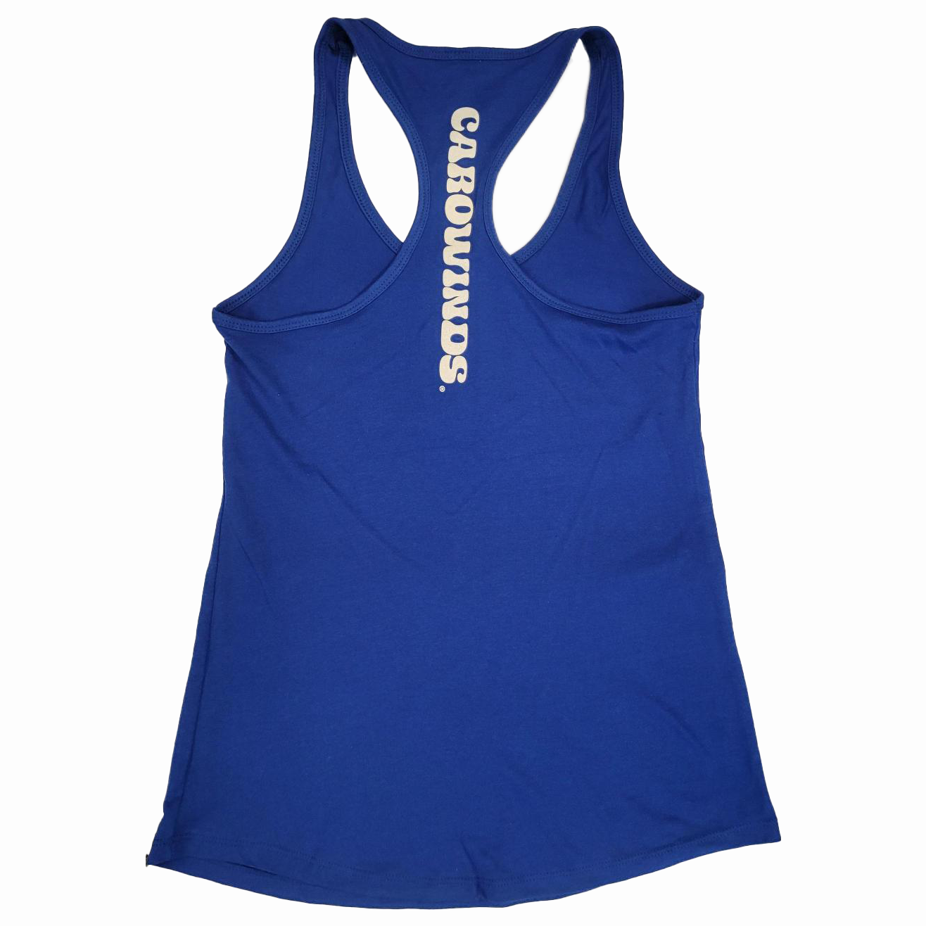 Carowinds Fury 325 Retro Gaming Tank