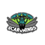 Scarowinds Fury of the Hive Pin