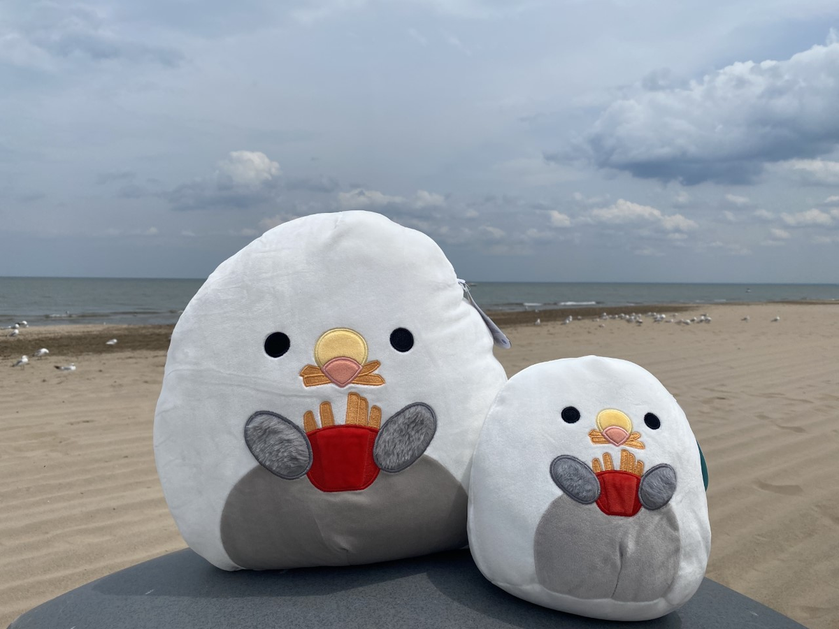 Cedar Point 14" Seagull with Fries Squishmallow